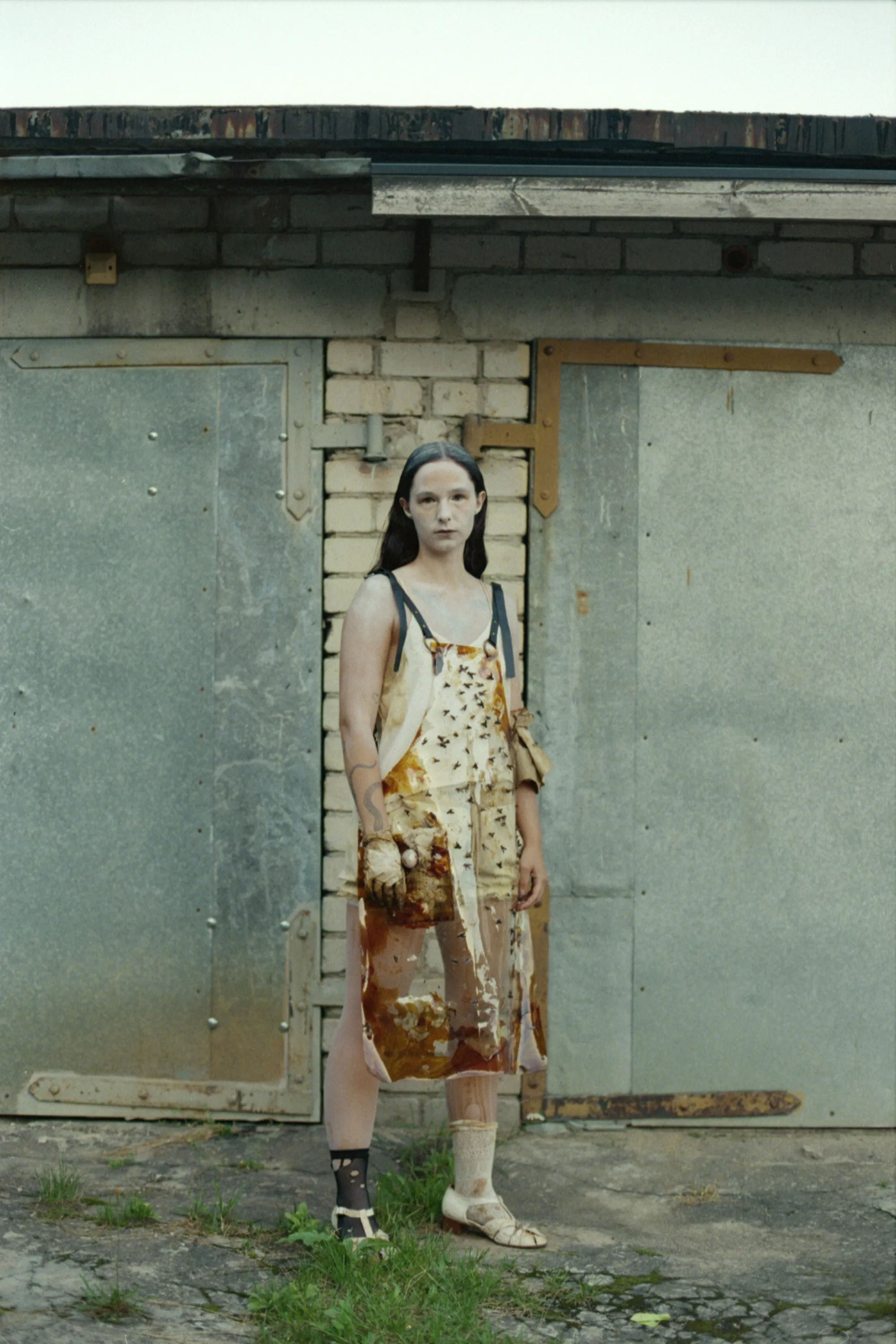 The first episode of Kafka's "Metamorphosis", photograph 2 of 15