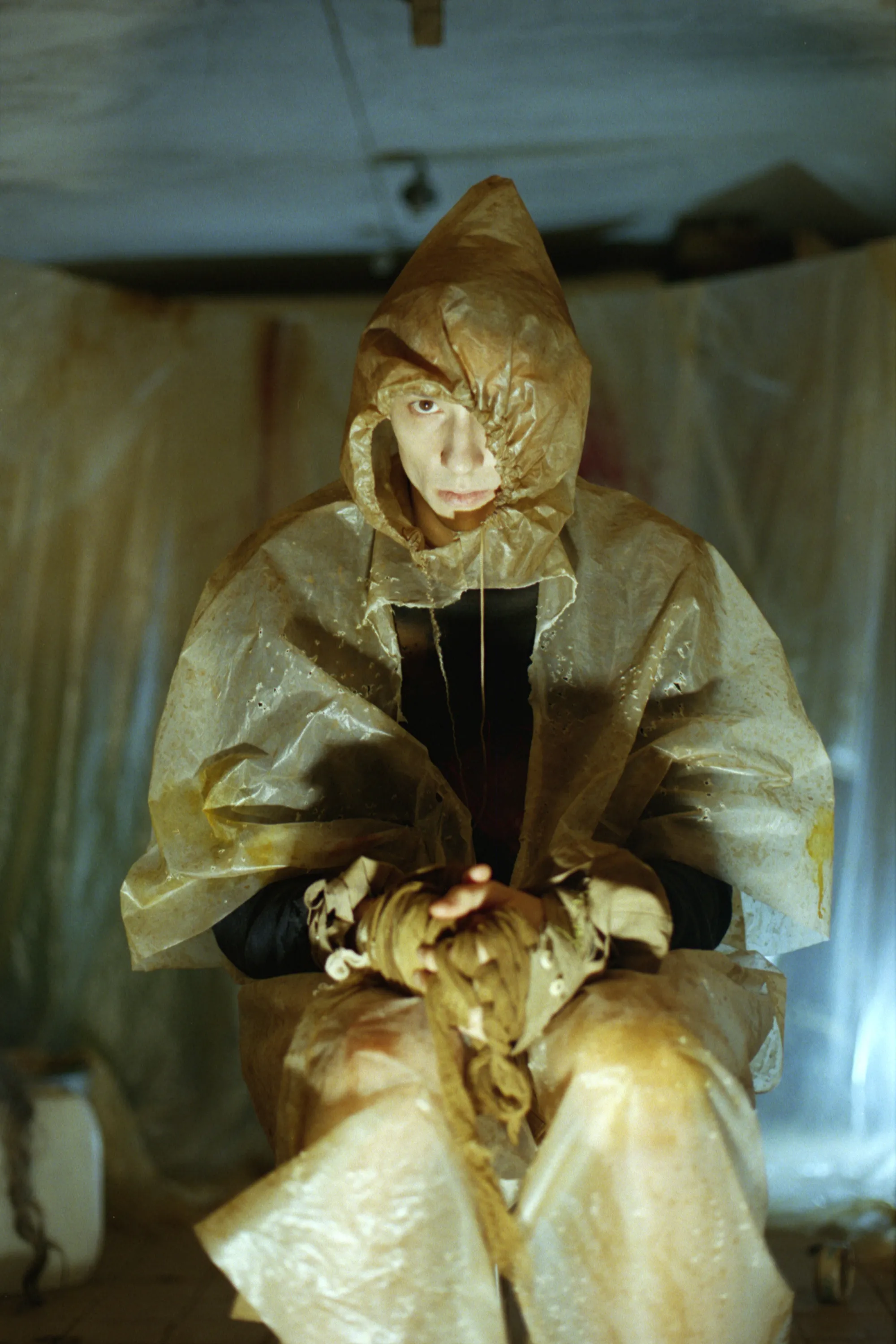 The first episode of Kafka's "Metamorphosis", photograph 12 of 15